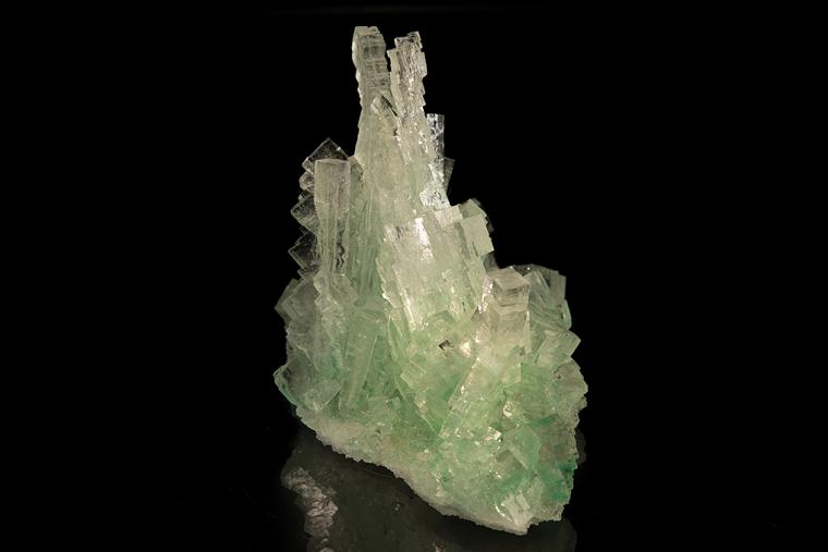 HALITE