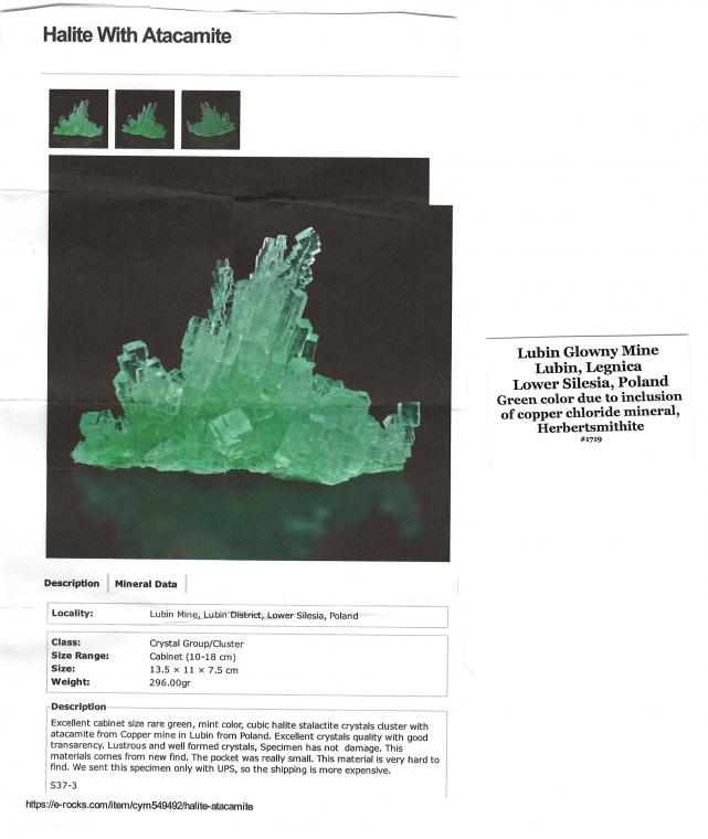 HALITE