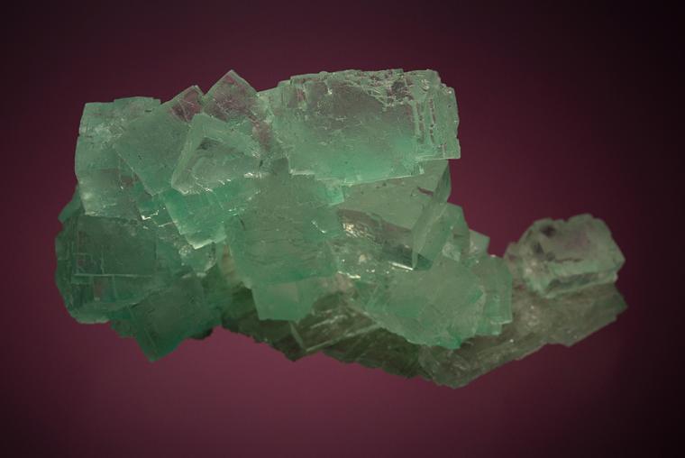 HALITE