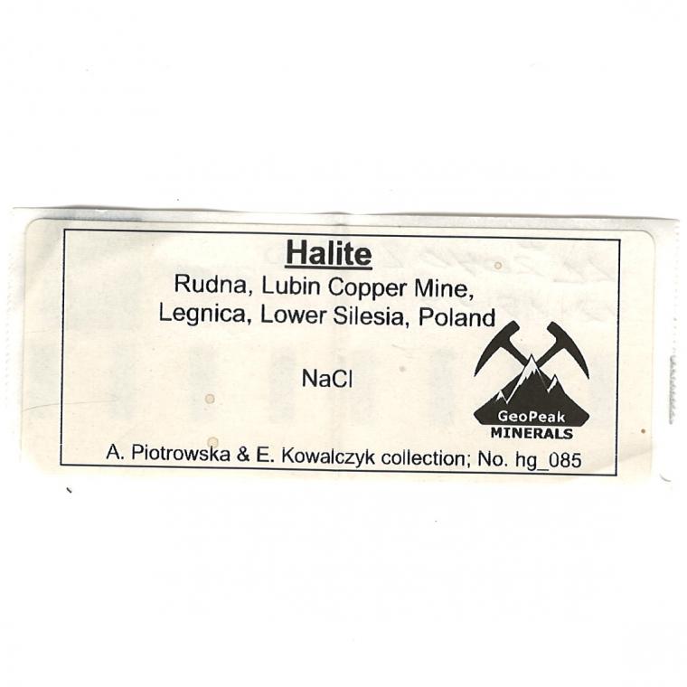 HALITE