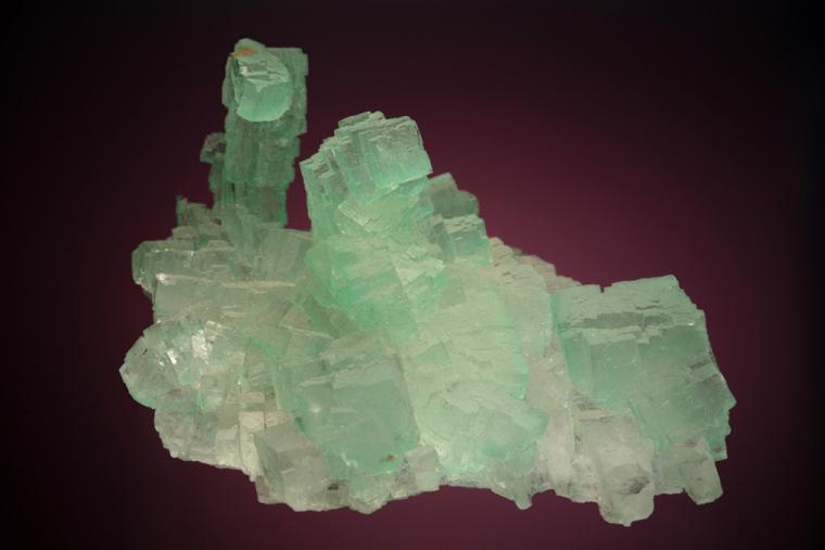 HALITE
