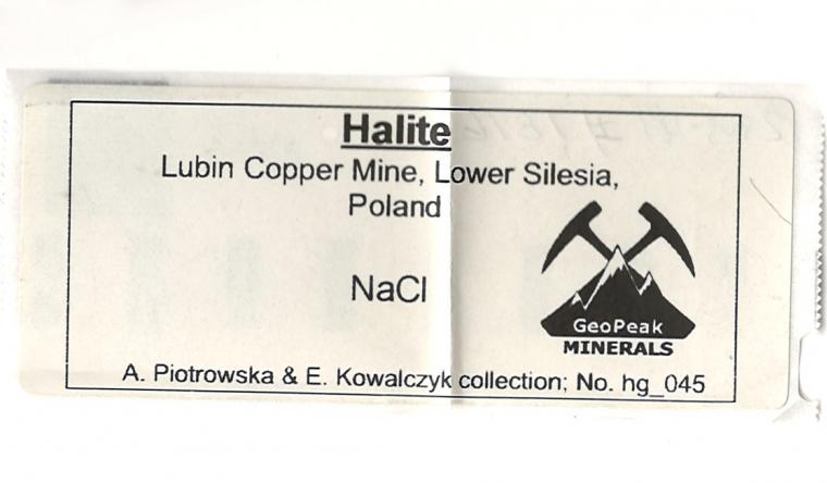 HALITE
