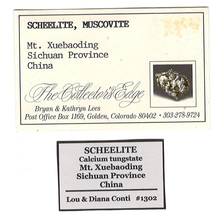 SCHEELITE with MUSCOVITE