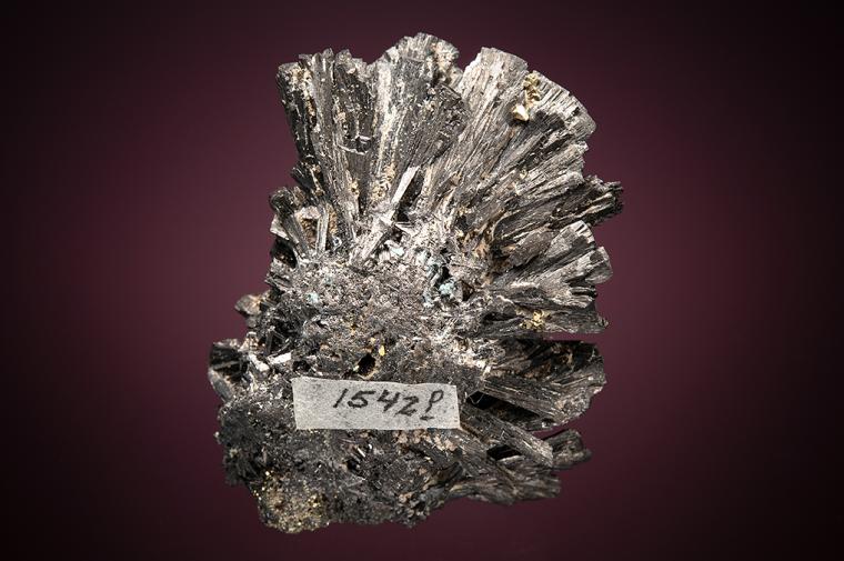 ENARGITE with PYRITE