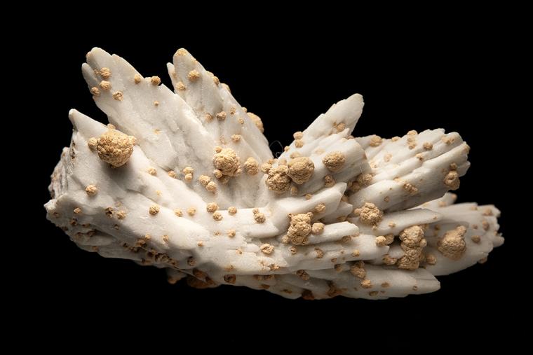 CALCITE after GYPSUM with SIDERITE