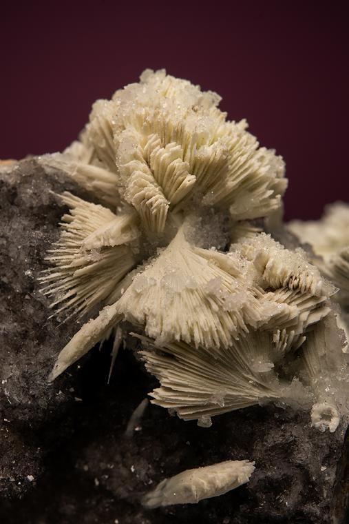 APATITE after SKORPIONITE