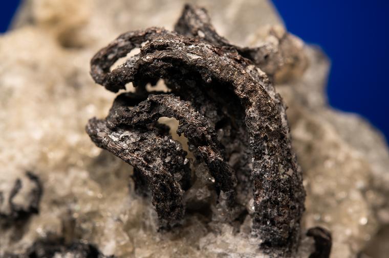 SILVER with ACANTHITE and CALCITE