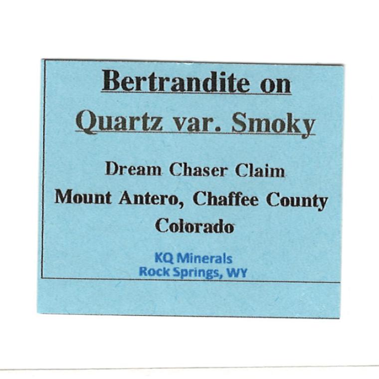 BERTRANDITE on QUARTZ var. Smoky