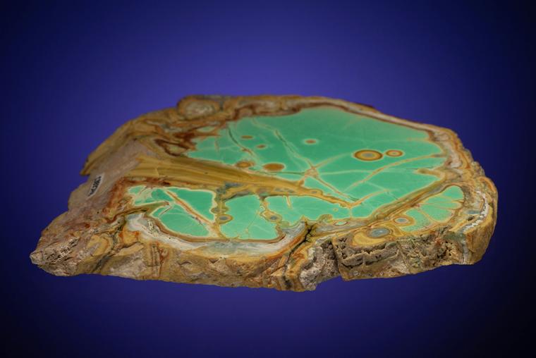 VARISCITE with CRANDALLITE and WARDITE