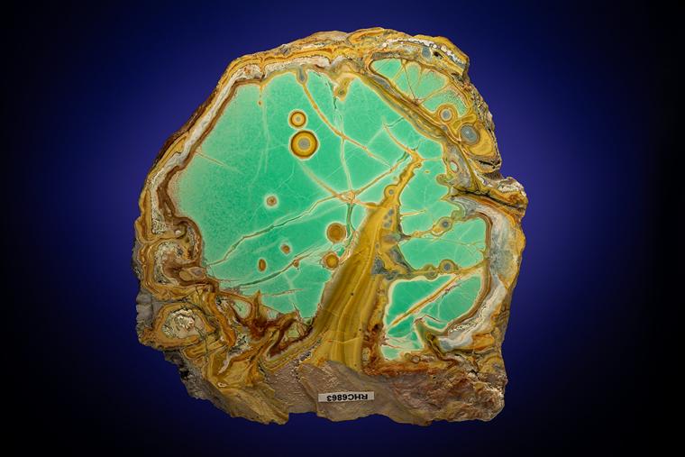 VARISCITE with CRANDALLITE and WARDITE