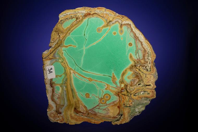 VARISCITE with CRANDALLITE and WARDITE