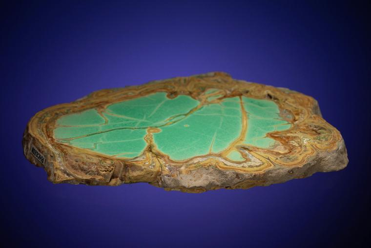 VARISCITE with CRANDALLITE and WARDITE