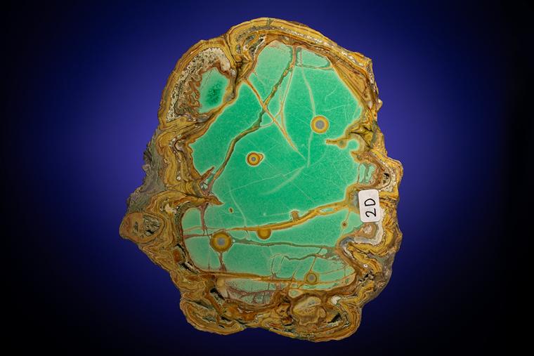 VARISCITE with CRANDALLITE and WARDITE