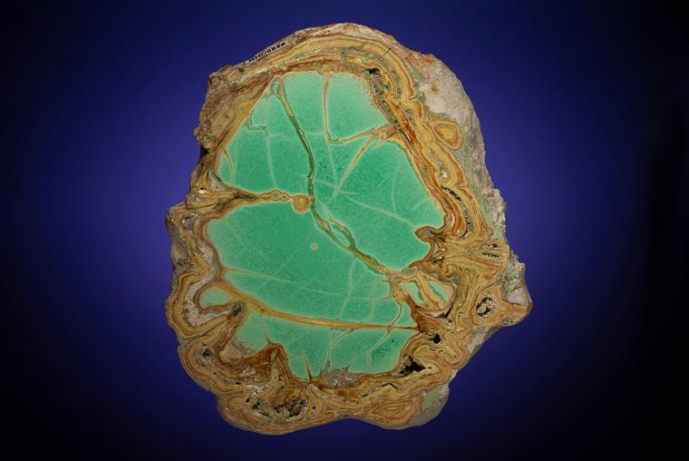 VARISCITE with CRANDALLITE and WARDITE
