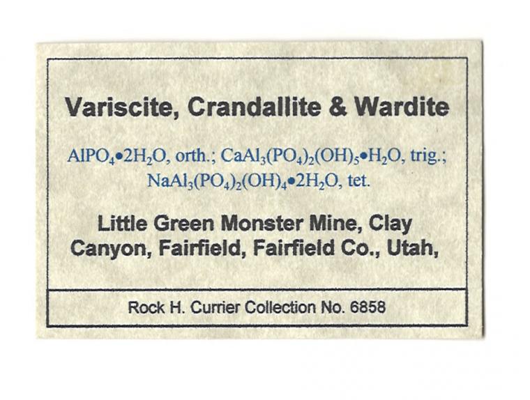 VARISCITE with CRANDALLITE and WARDITE