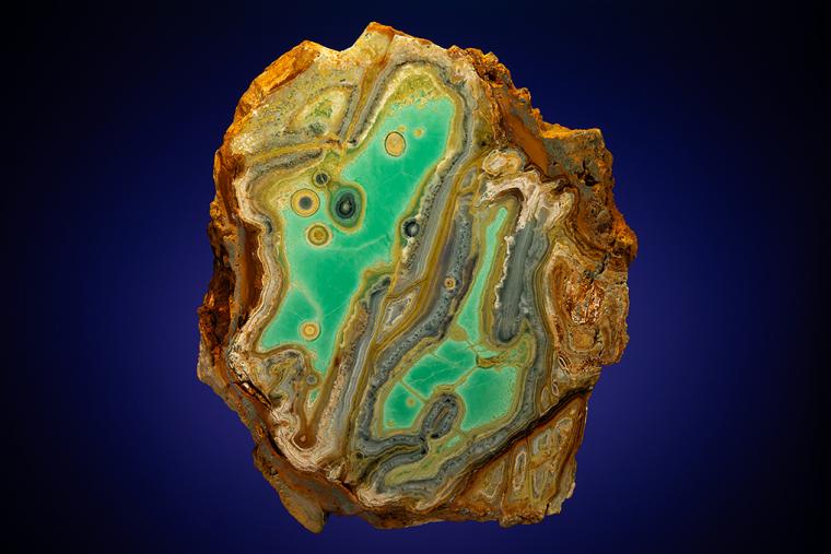 VARISCITE with CRANDALLITE and WARDITE