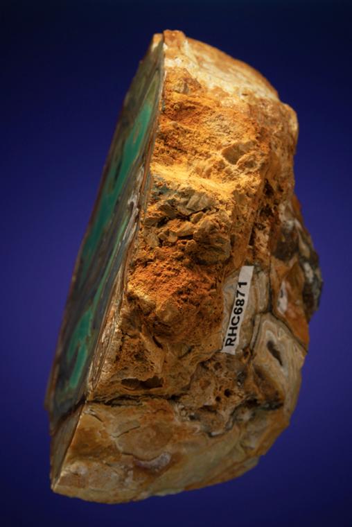 VARISCITE with CRANDALLITE and WARDITE