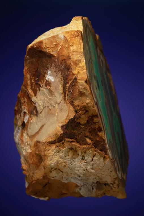 VARISCITE with CRANDALLITE and WARDITE