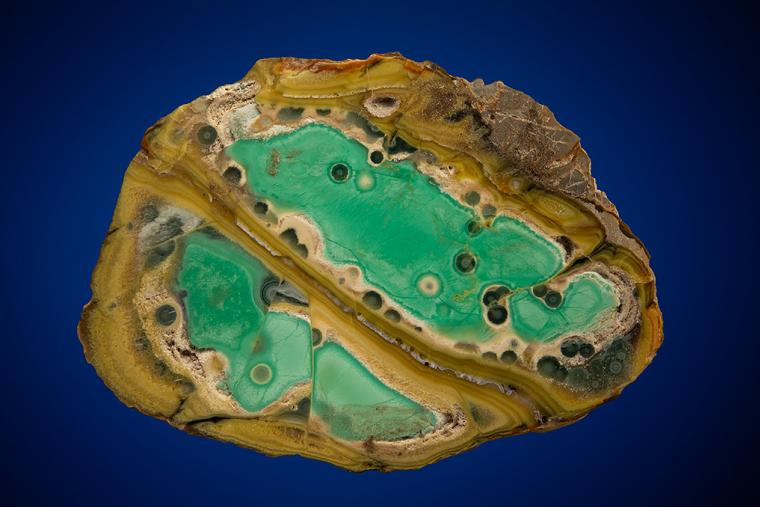 VARISCITE with CRANDALLITE and WARDITE
