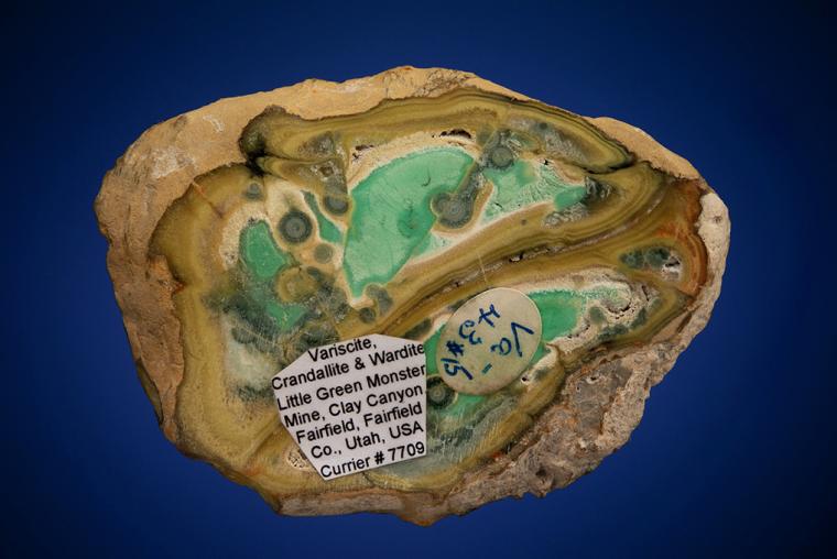 VARISCITE with CRANDALLITE and WARDITE