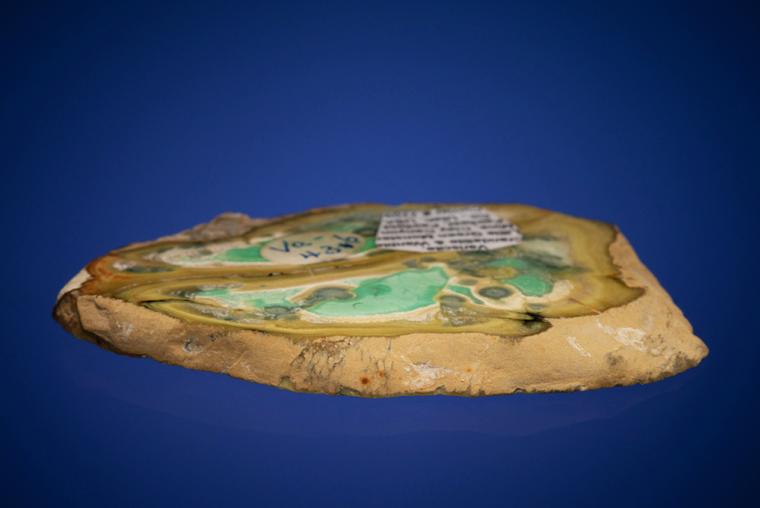 VARISCITE with CRANDALLITE and WARDITE