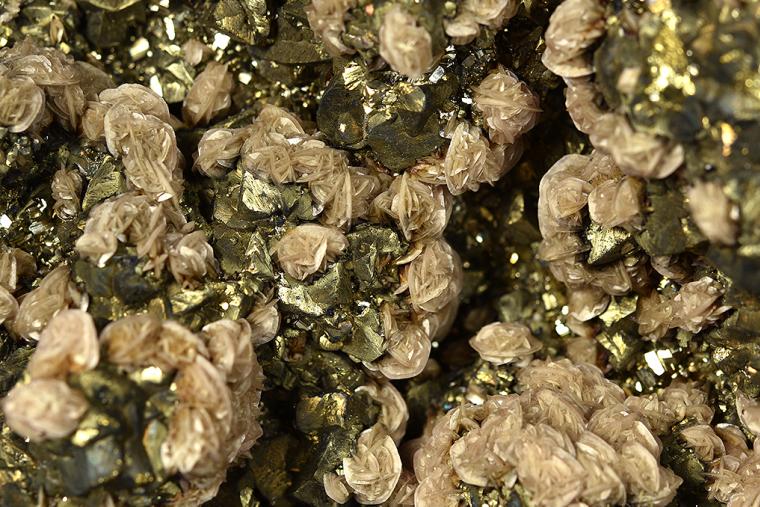 RHODOCHROSITE on CHALCOPYRITE
