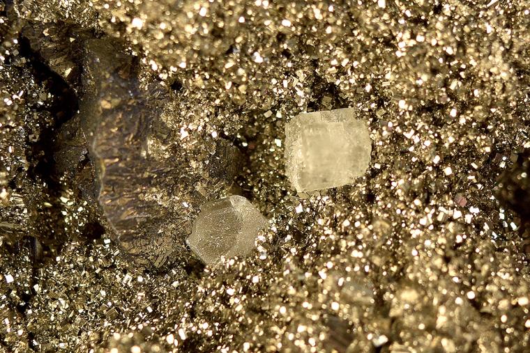 FLUORAPATITE with CHALCOPYRITE on PYRITE