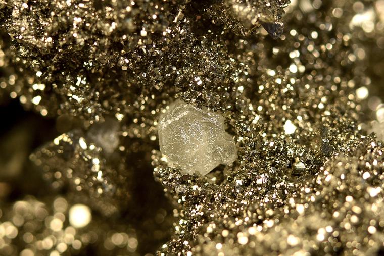 FLUORAPATITE with CHALCOPYRITE on PYRITE
