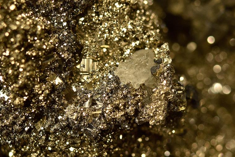 FLUORAPATITE with CHALCOPYRITE on PYRITE