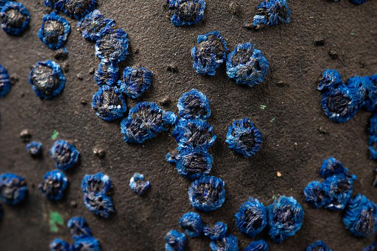 AZURITE on MALACHITE